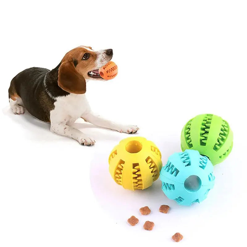 The Orbit IQ™ Treat Dispenser