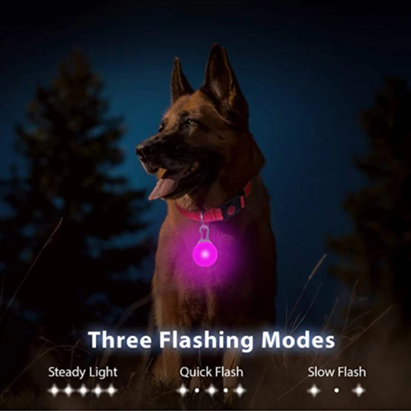 The Starlight Glow™ Safety Collar