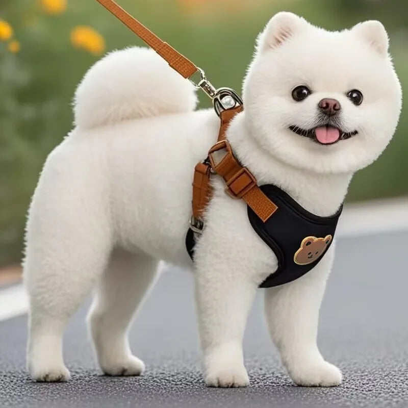 The Airy-Step™ Comfort Harness & Leash Set