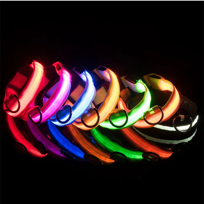 The Starlight Glow™ Safety Collar