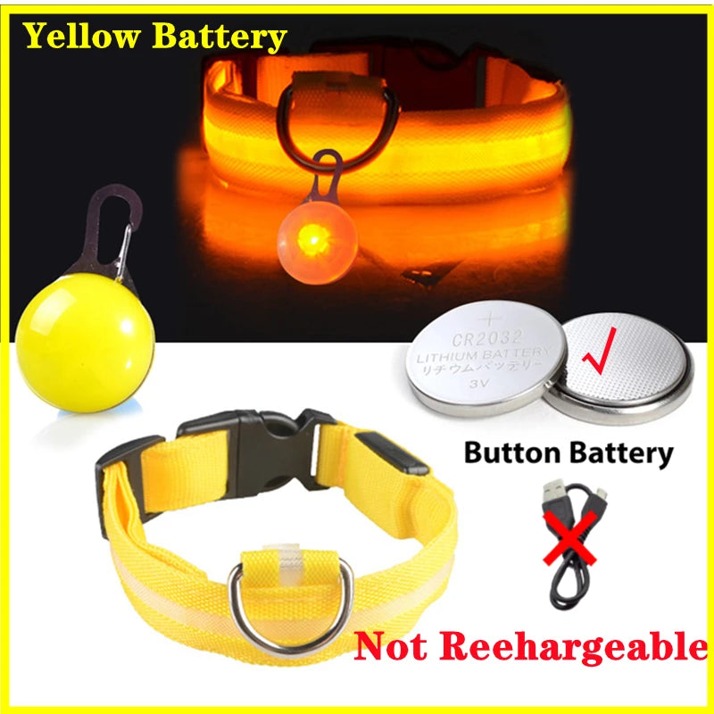 The Starlight Glow™ Safety Collar