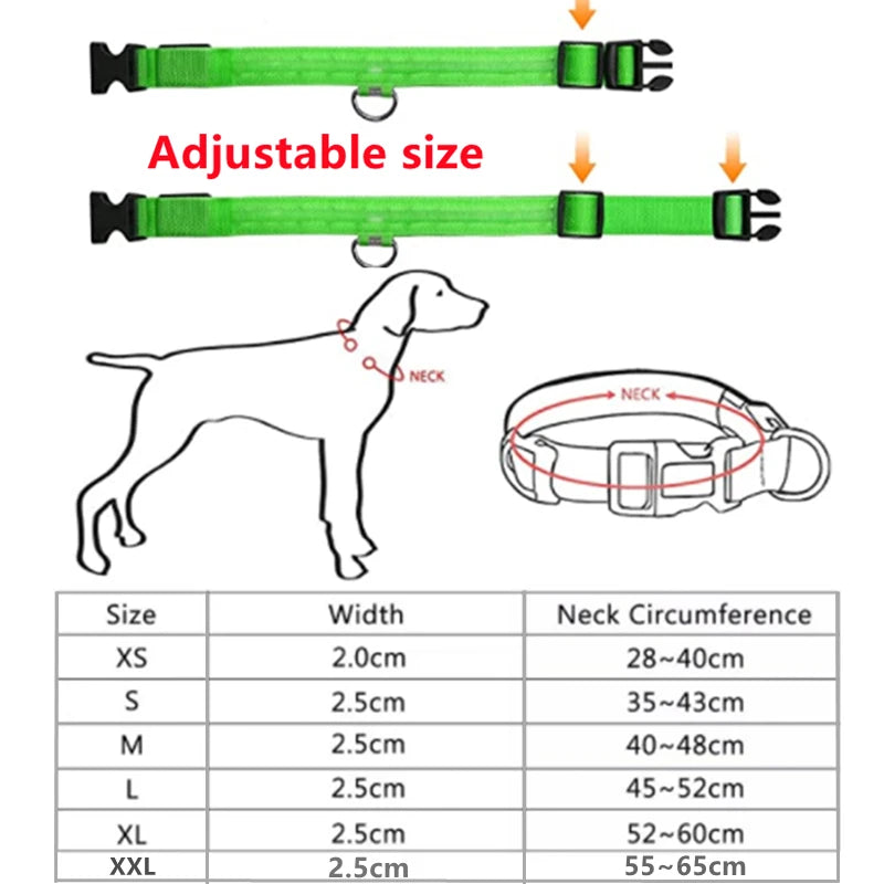 The Starlight Glow™ Safety Collar