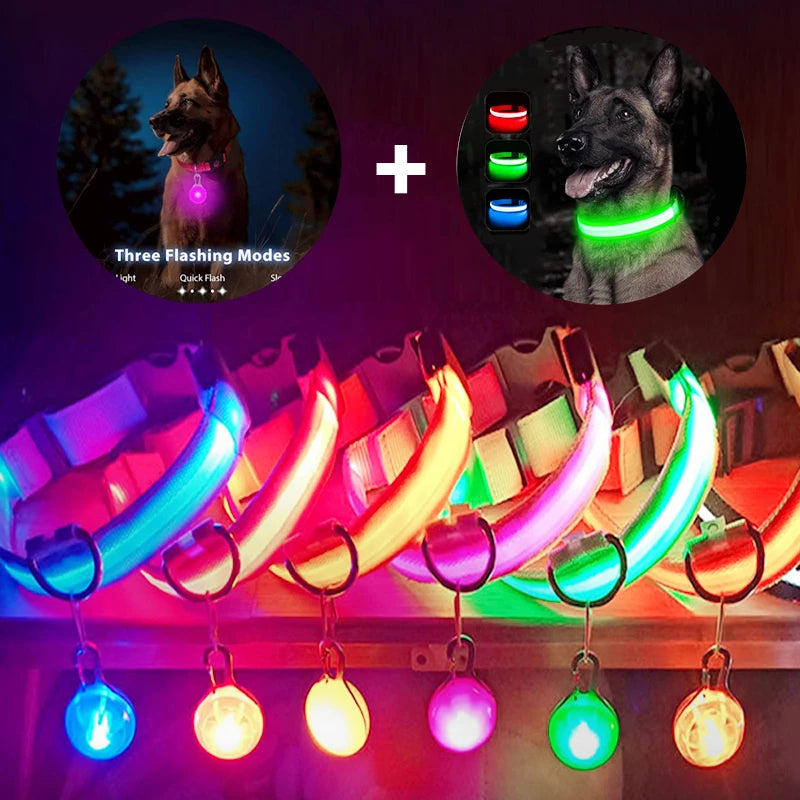 The Starlight Glow™ Safety Collar