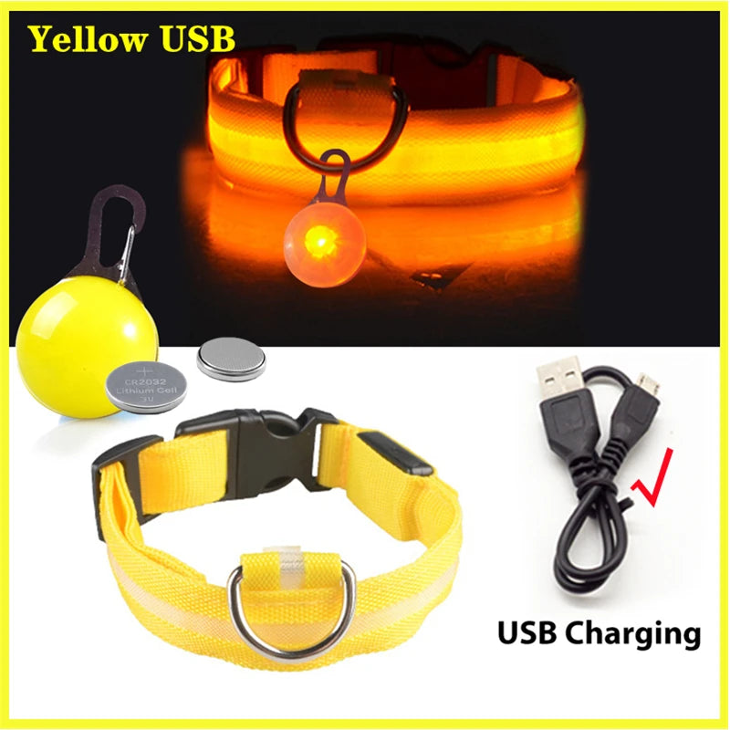 The Starlight Glow™ Safety Collar