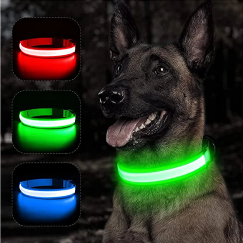 The Starlight Glow™ Safety Collar