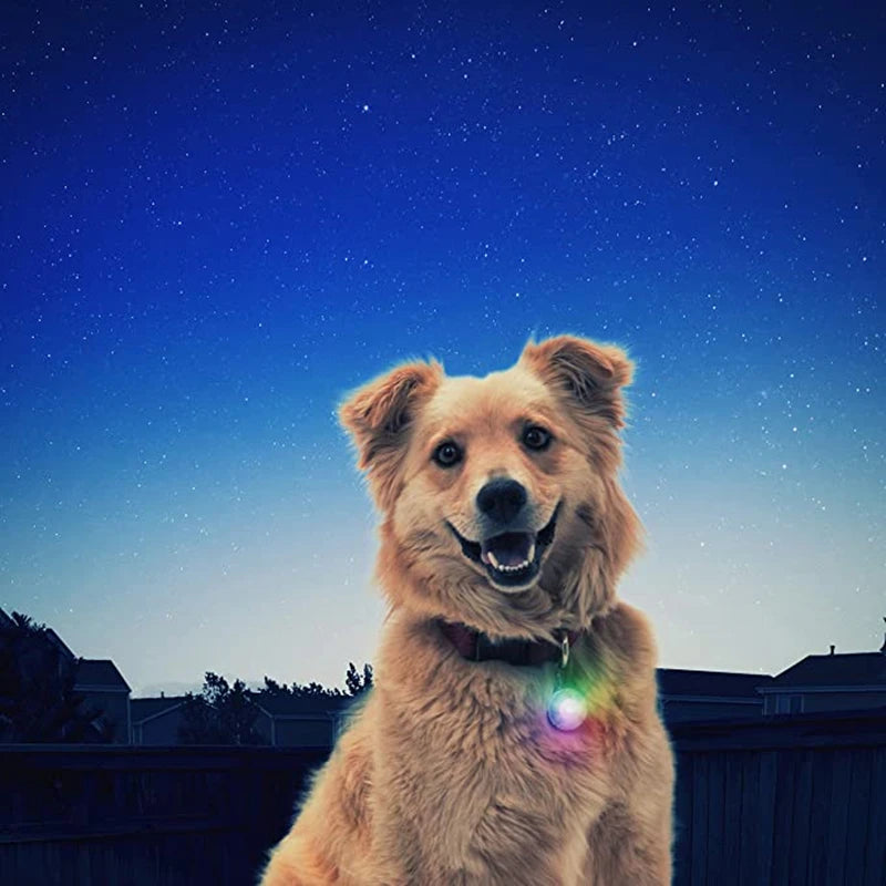 The Starlight Glow™ Safety Collar