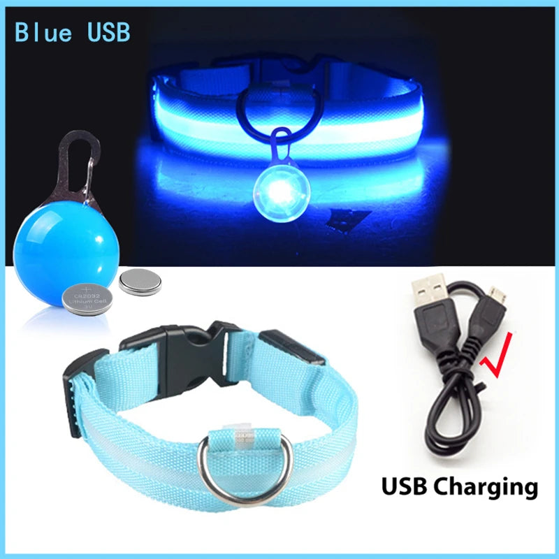 The Starlight Glow™ Safety Collar