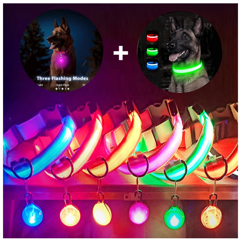 The Starlight Glow™ Safety Collar