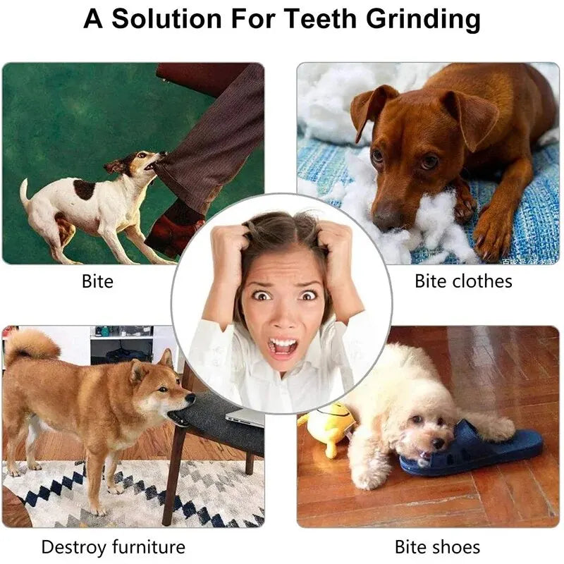 The Orbit IQ™ Treat Dispenser