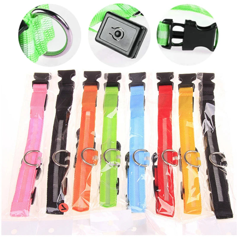 The Starlight Glow™ Safety Collar