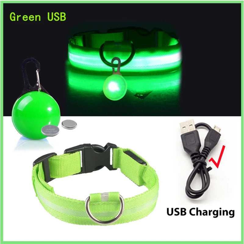 The Starlight Glow™ Safety Collar