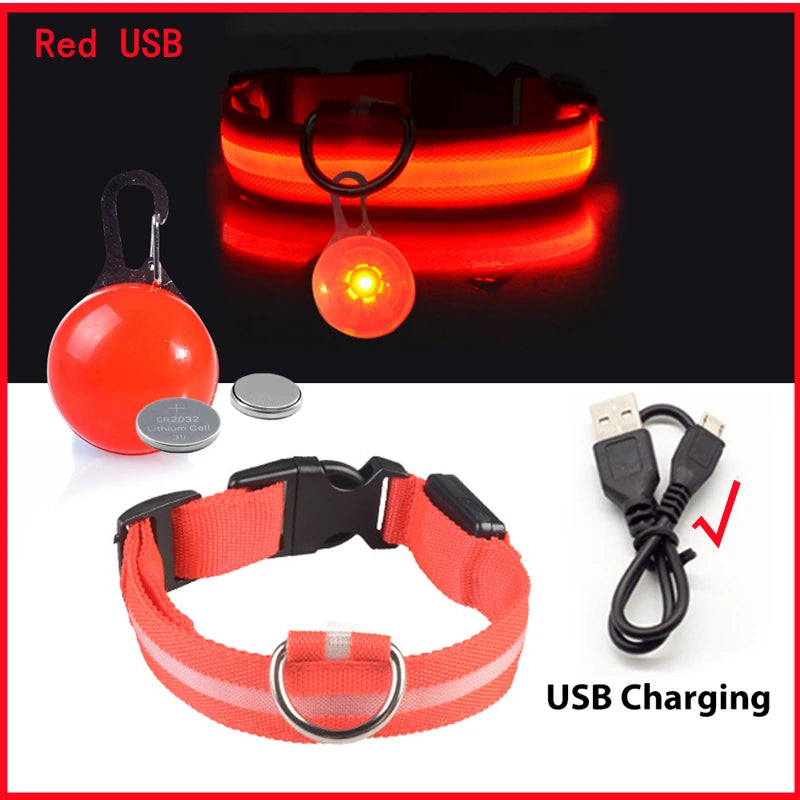 The Starlight Glow™ Safety Collar