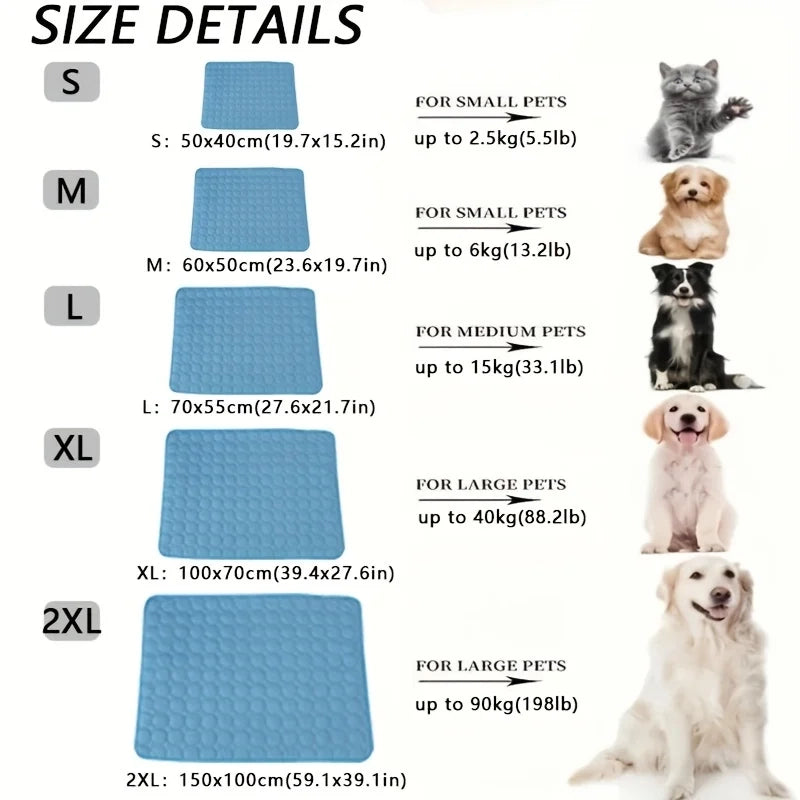 https://ynhrnsmwlsrihguevngr.supabase.co/storage/v1/object/public/assets/medias/d30c014b-ce4e-4733-8fe1-89d1ae43f48f.webp